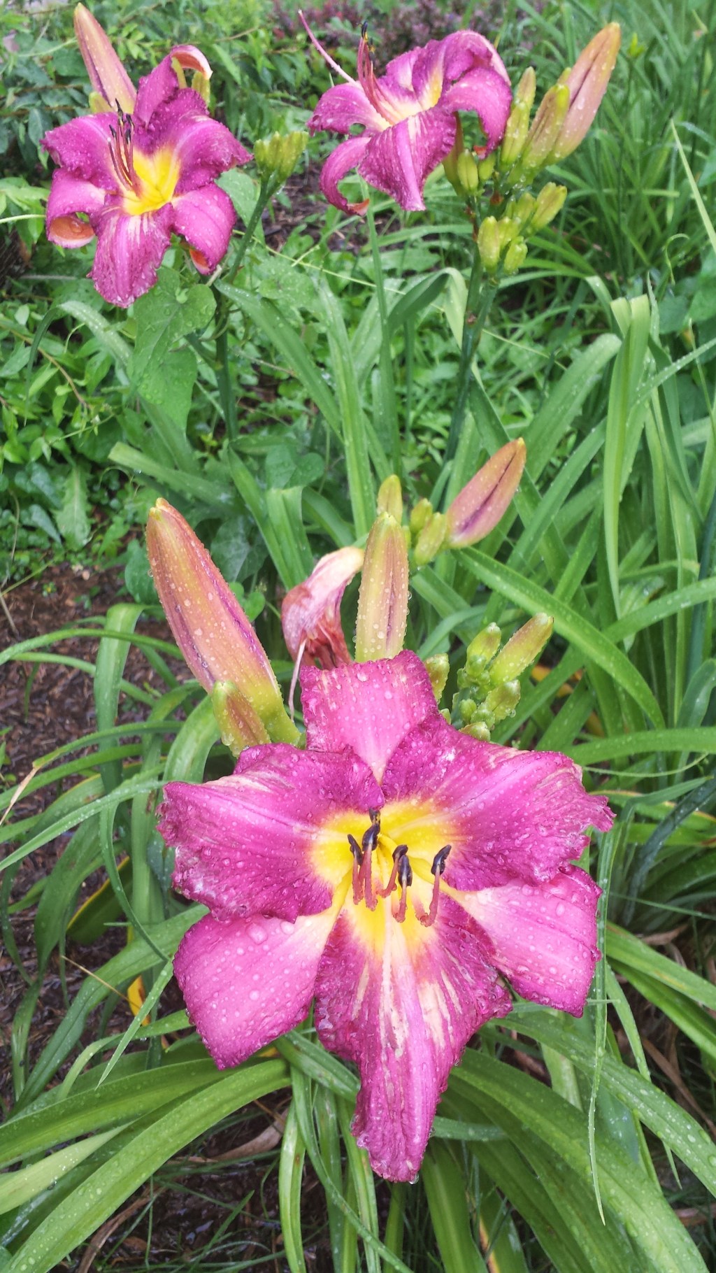 What are you most worried about for the&nbsp;future?