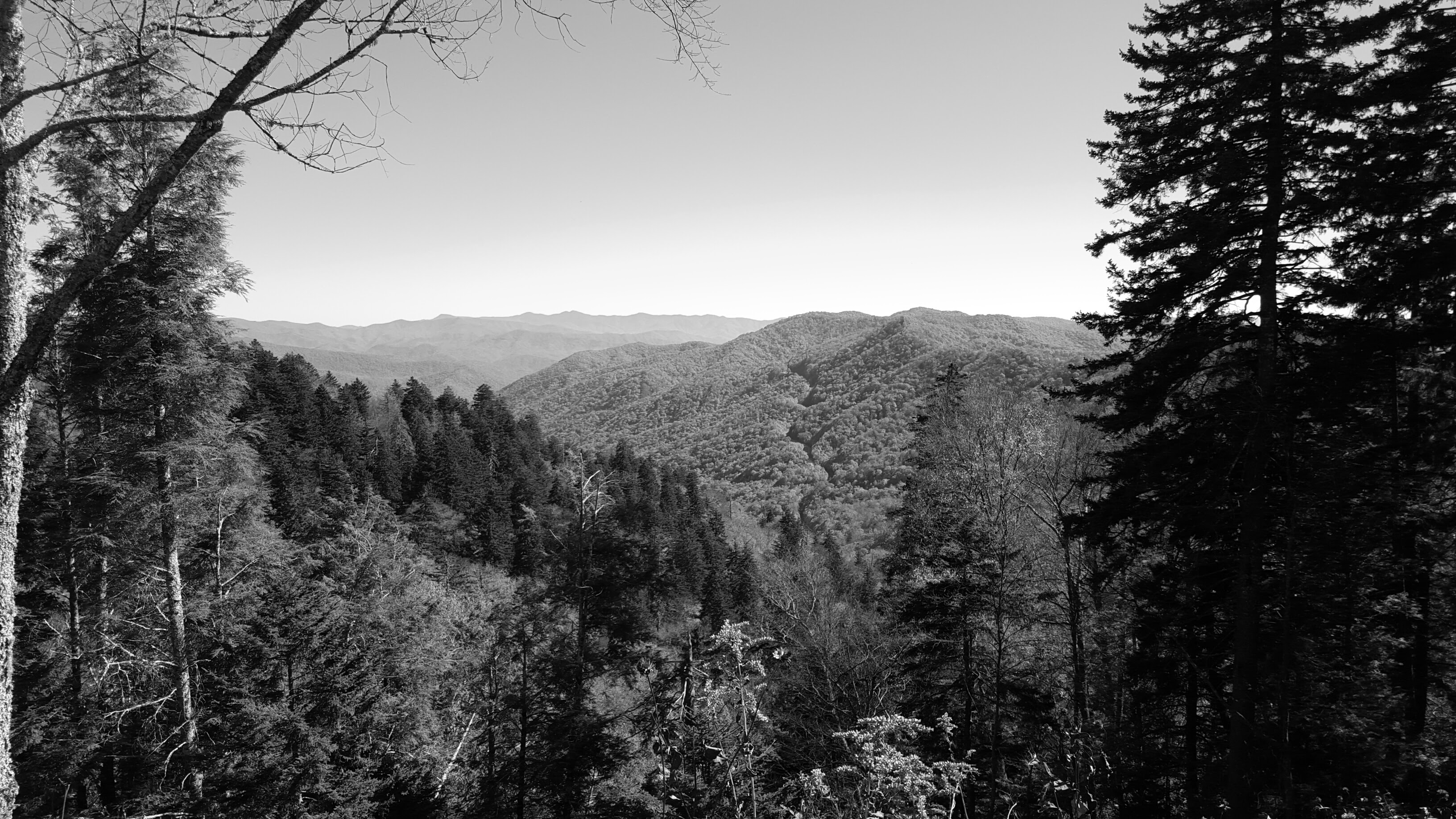 Main Page Presentation