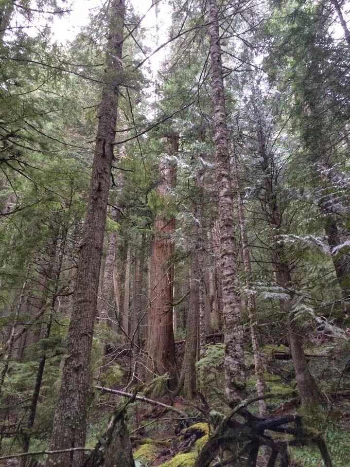 My Top ADHD Traits and Symptoms Before I Was&nbsp;Diagnosed.